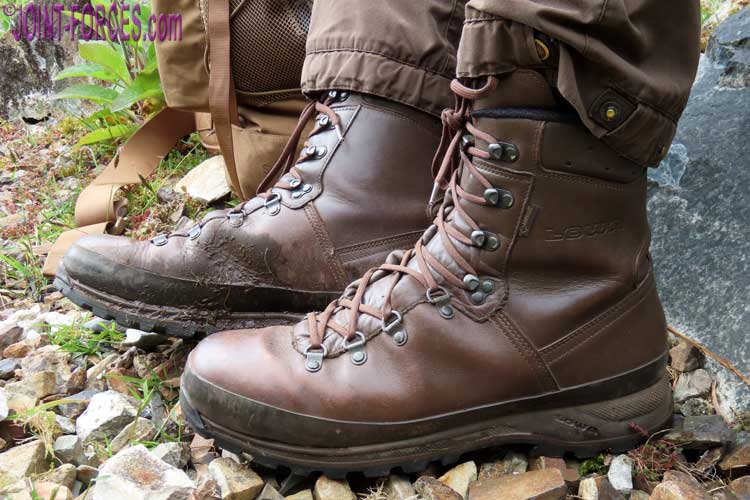 tiran woestenij hartstochtelijk LOWA Mountain Boots GTX Brown | Joint Forces News