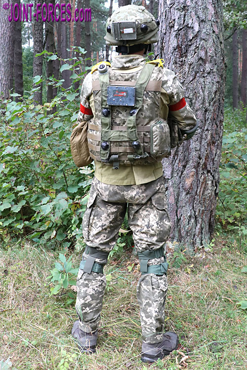 Ukrainian M14 Digital Pattern - Joint Forces News